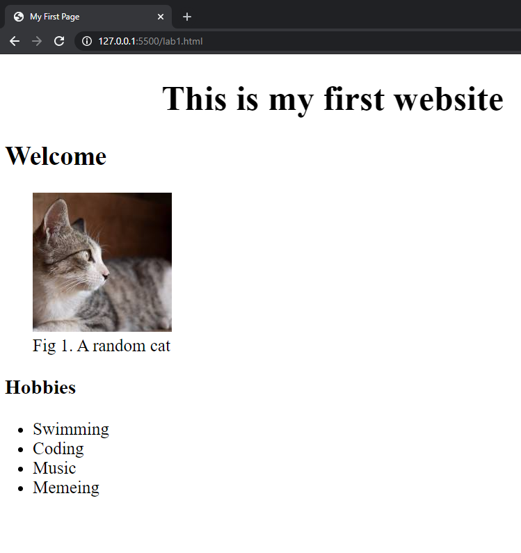 Lab 1.1 - Intro to HTML